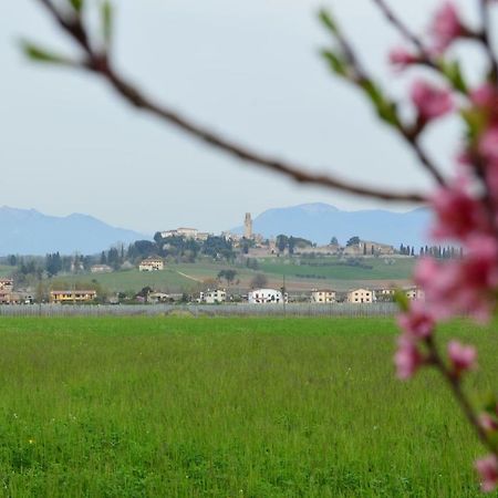 Susegana Appartamento Mi.Lu المظهر الخارجي الصورة