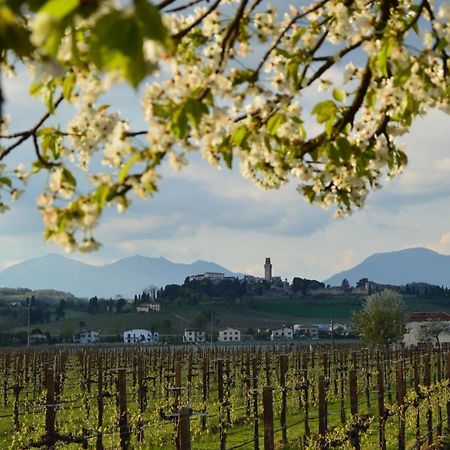 Susegana Appartamento Mi.Lu المظهر الخارجي الصورة