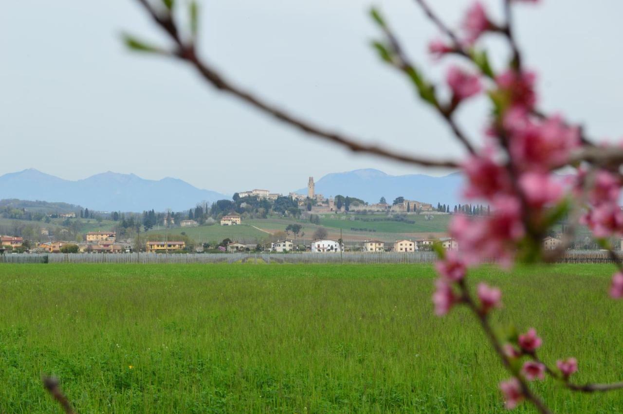 Susegana Appartamento Mi.Lu المظهر الخارجي الصورة